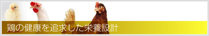 鶏の健康を追求した栄養設計